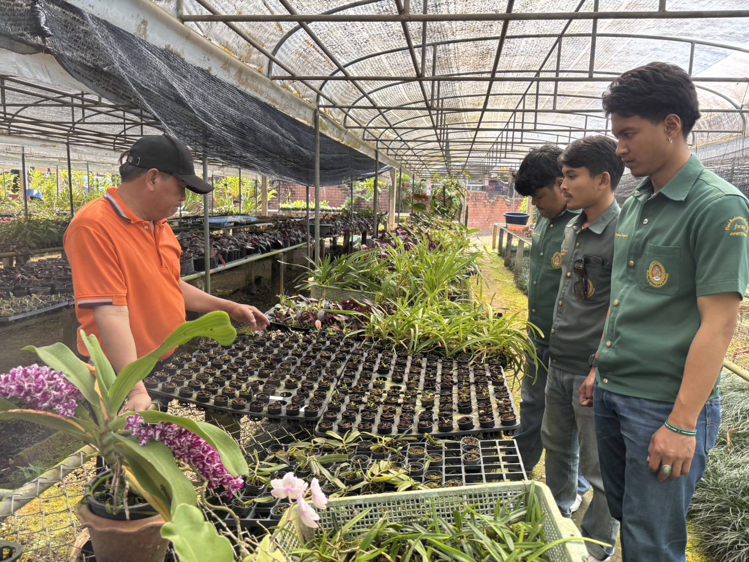 ฟาร์มมหาวิทยาลัย ได้นำนักศึกษาฝึกงานจากมหาวิทยาลัยราชภัฏสงขลา จำนวน 3 คน เข้าศึกษาดูงานด้านการเพาะเลี้ยงเนื้อเยื่อพืช ณ ห้องปฏิบัติการ ศูนย์กล้วยไม้และไม้ดอกไม้ประดับ