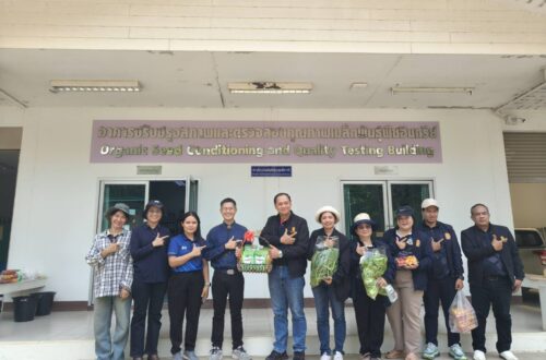 วันที่ 31 มีนาคม 2569